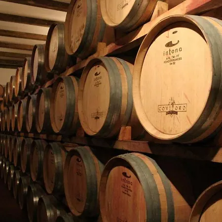 Zaravencia By Bossh Hotell Toro