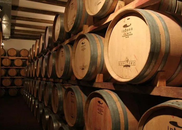 Zaravencia By Bossh فندق تورو